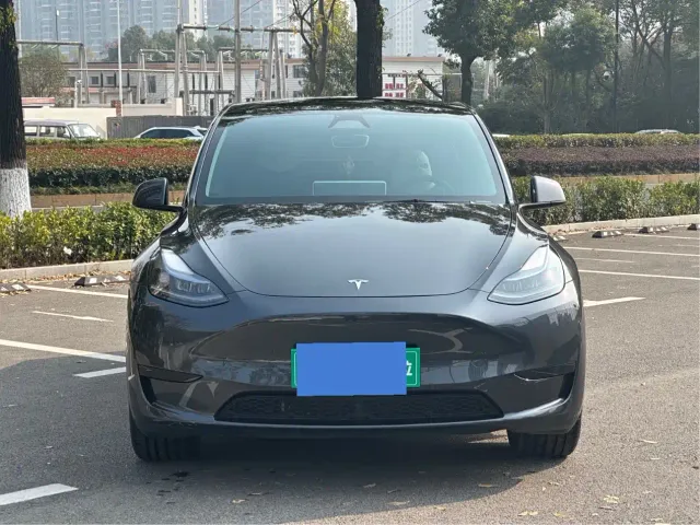 Tesla Model Y — Фото автомобиля 2