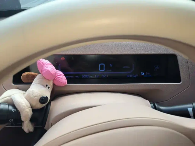 Geely Panda — Фото автомобиля 14