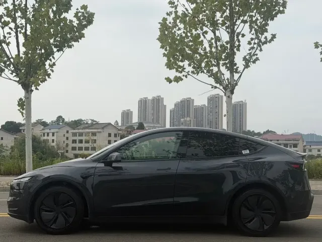 Tesla Model Y — Фото автомобиля 4