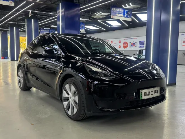 Tesla Model Y — Фото автомобиля 3
