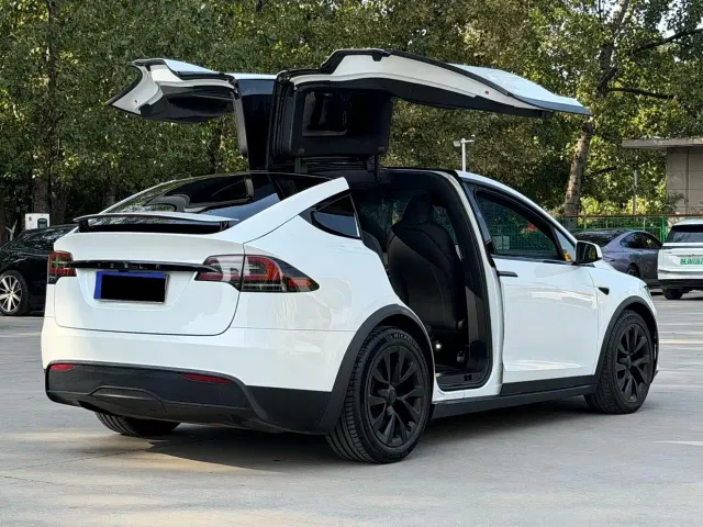 Tesla Model X — Фото автомобиля 5