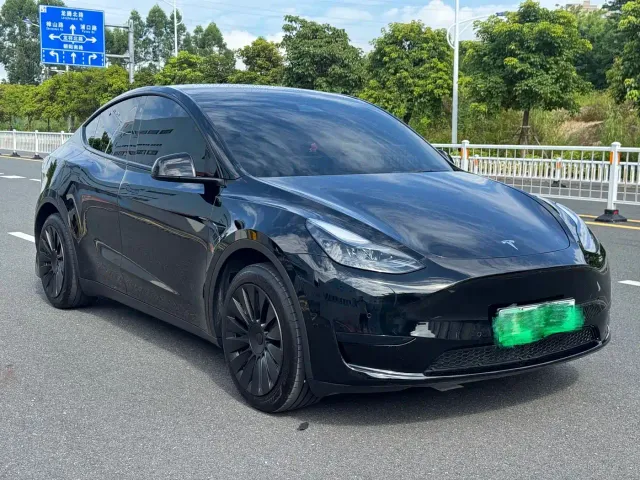 Tesla Model Y — Фото автомобиля 3