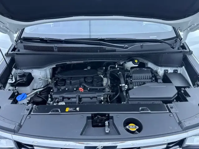 Hyundai Custo — Фото автомобиля 30