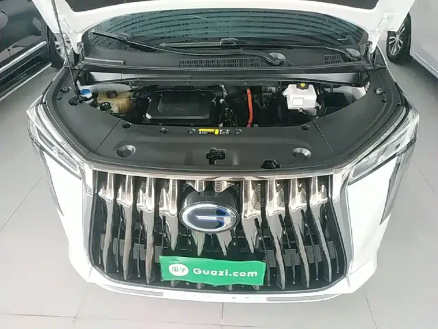 GAC Trumpchi M8 — Фото автомобиля 19