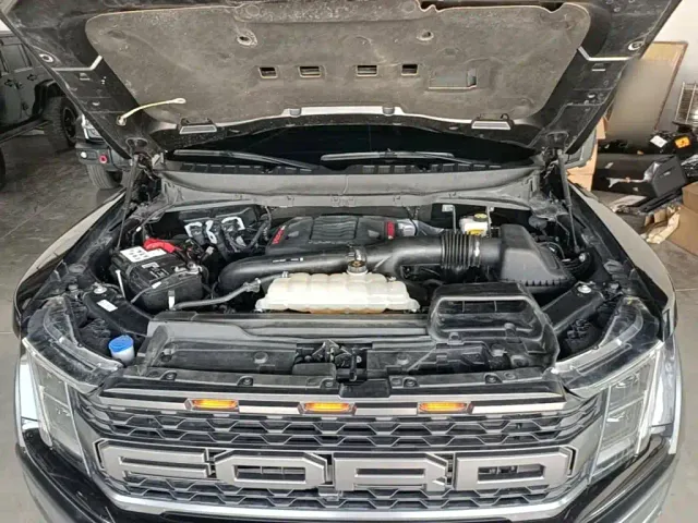 Ford F-150 Raptor — Фото автомобиля 19