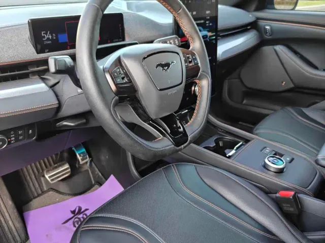 Ford Mustang Mach-E — Фото автомобиля 5