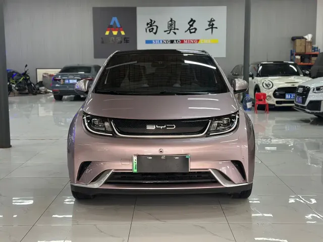 Фотография автомобиля — BYD Dolphin