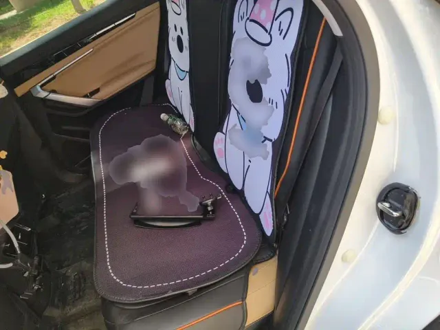 Geely Boyue L — Фото автомобиля 13
