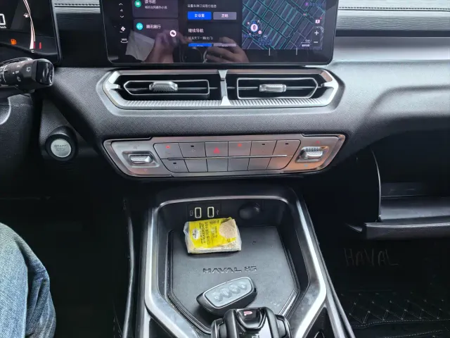 Haval Haval H5 2023 2.0T Automatic 2WD Elite Edition Petrol — Фото автомобиля 5