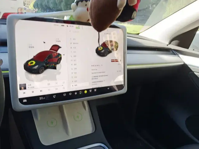 Tesla Model Y — Фото автомобиля 9