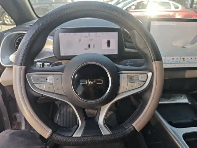 BYD Dolphin — Фото автомобиля 10