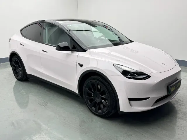 Tesla Model Y — Фото автомобиля 2