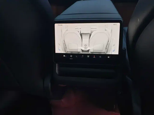 Tesla Model Y — Фото автомобиля 23
