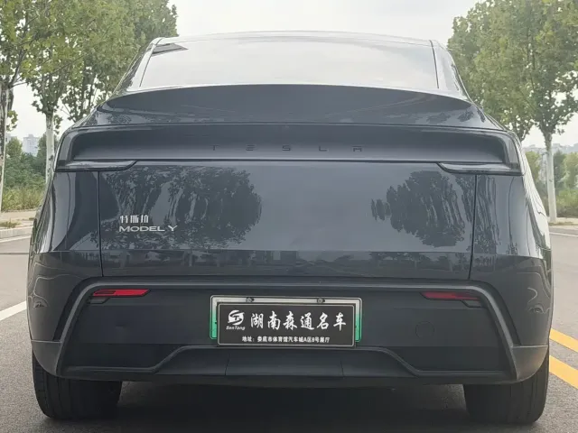 Tesla Model Y — Фото автомобиля 6