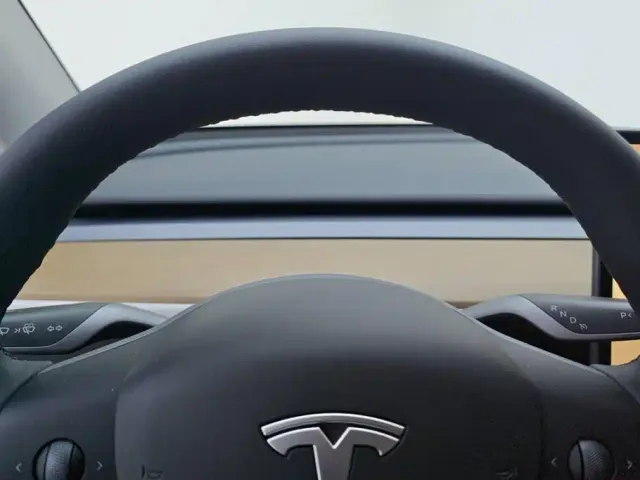 Tesla Model Y — Фото автомобиля 14