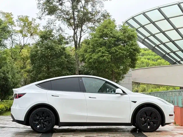 Tesla Model Y — Фото автомобиля 4
