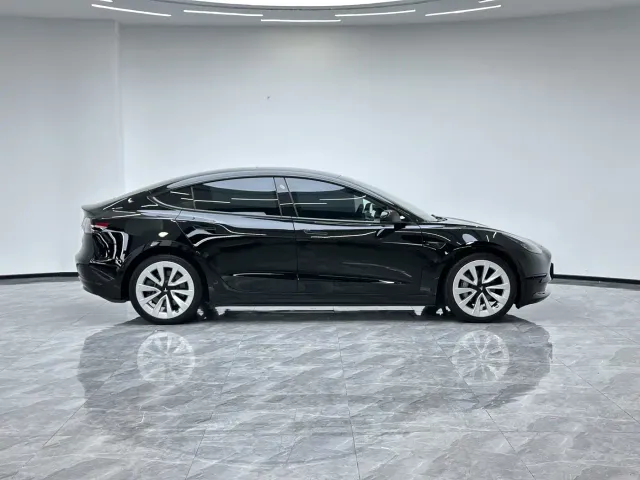 Tesla Model 3 2021 Facelift Standard Range RWD Upgrade 3D1 — Фото автомобиля 8