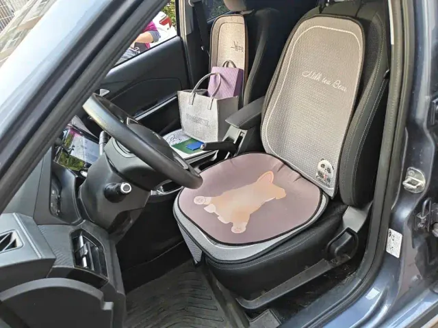 Chery Tiggo 3x — Фото автомобиля 11