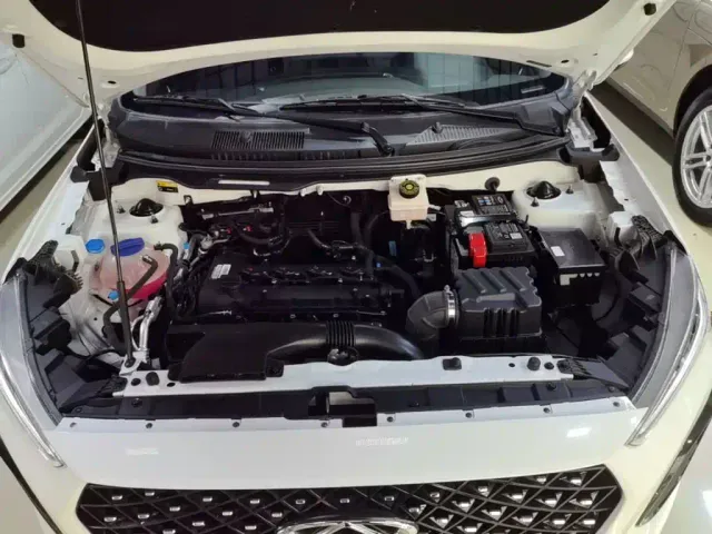 Chery Tiggo 3x — Фото автомобиля 19