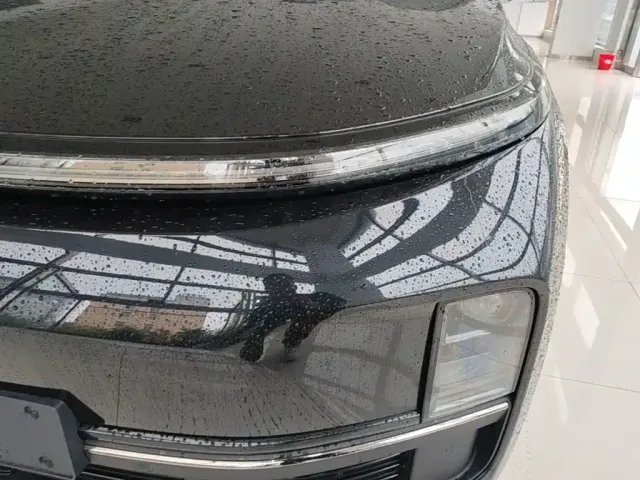 Li Auto L9 — Фото автомобиля 23