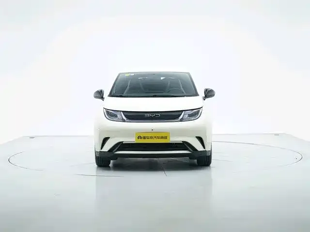 BYD Dolphin — Фото автомобиля 6