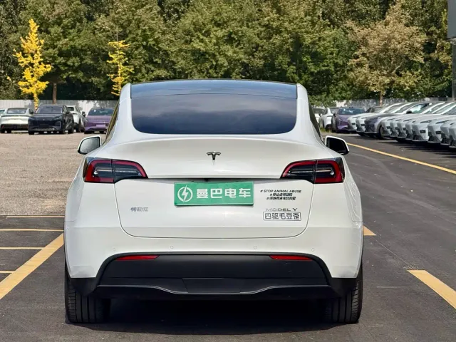 Tesla Model Y — Фото автомобиля 6