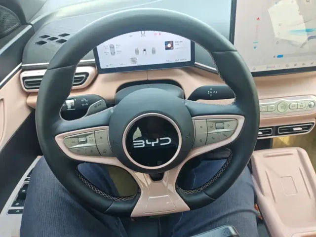 BYD Seagull — Фото автомобиля 10