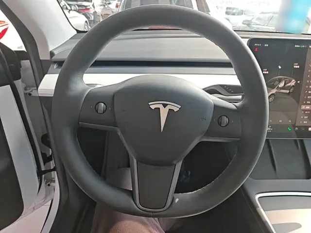 Tesla Model Y — Фото автомобиля 10