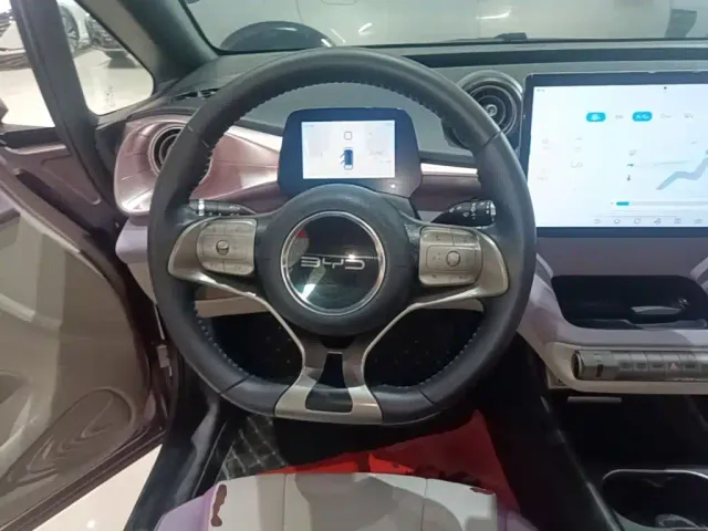 BYD Dolphin 2021 Model 405km Fashion Edition — Фото автомобиля 10