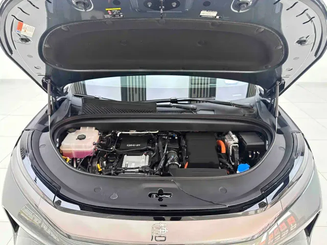 BYD Tang L — Фото автомобиля 6