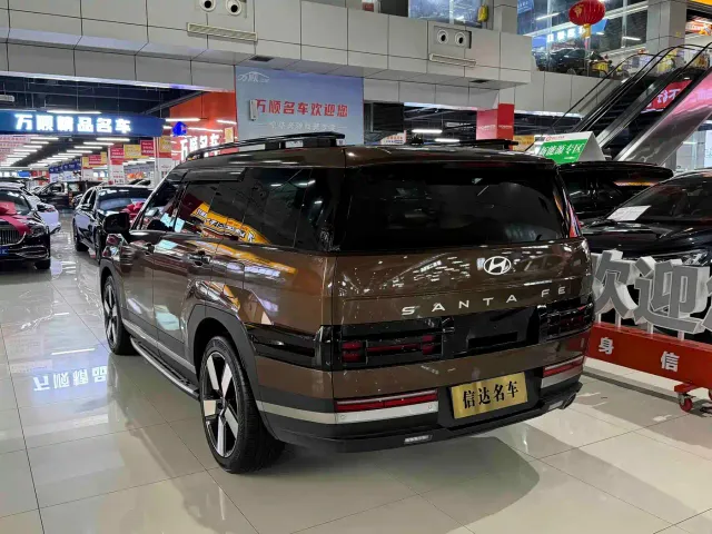 Hyundai Santa Fe — Фото автомобиля 19