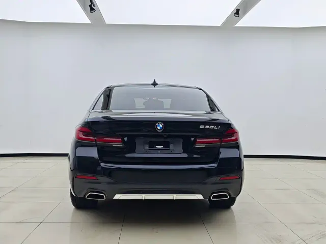 BMW 5 Series — Фото автомобиля 8