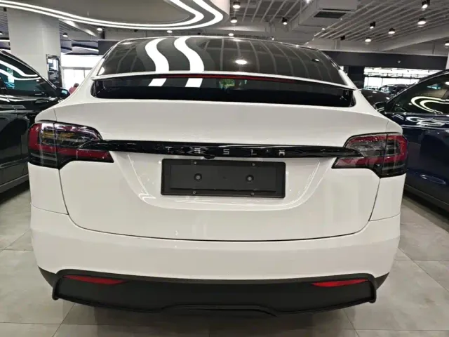 Tesla Model X — Фото автомобиля 3