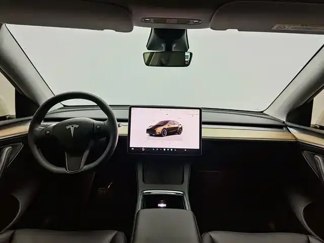 Tesla Model Y — Фото автомобиля 9