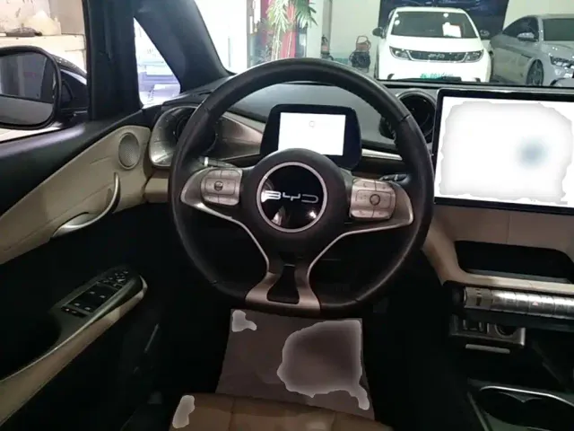 BYD Dolphin — Фото автомобиля 10