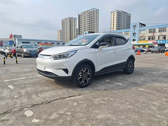 BYD Yuan Pro 2021 Lifetime Love Edition — Фото автомобиля 3