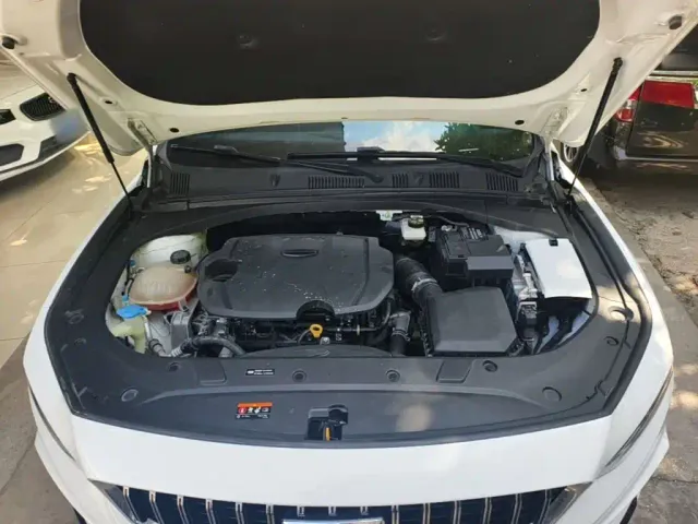 Geely Xingrui — Фото автомобиля 19