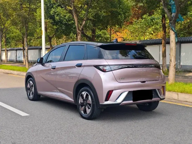 BYD Dolphin — Фото автомобиля 7