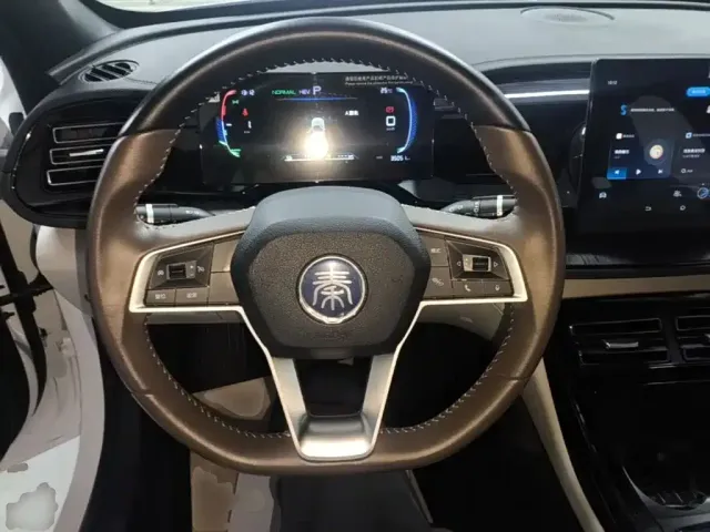 BYD Qin PLUS 2024 Glory Edition DM-i 55KM Leading — Фото автомобиля 10
