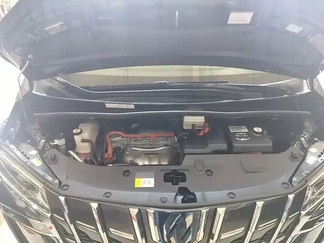 Toyota Alphard — Фото автомобиля 19