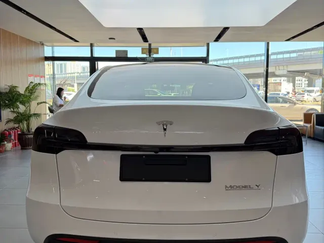 Tesla Model Y — Фото автомобиля 5