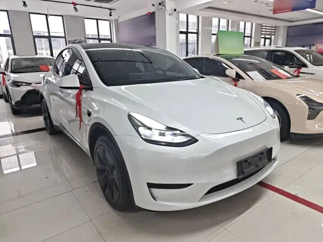Tesla Model Y — Фото автомобиля 3