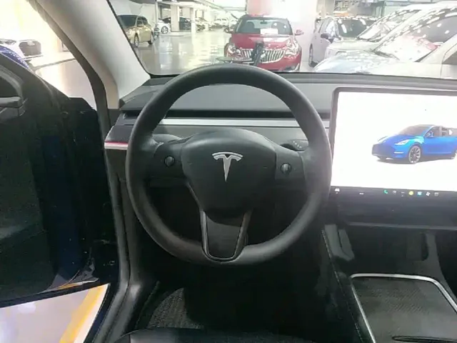 Tesla Model Y — Фото автомобиля 10