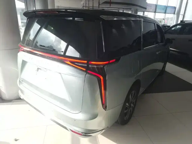 Maxus Dajia 9 — Фото автомобиля 6