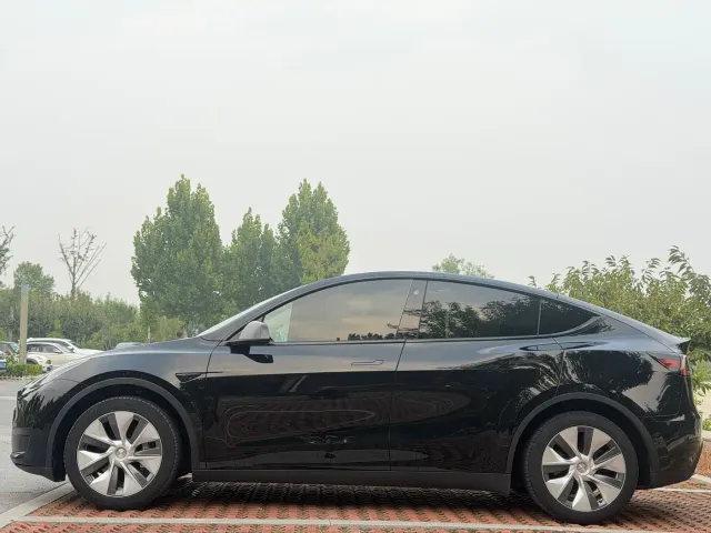 Tesla Model Y — Фото автомобиля 3