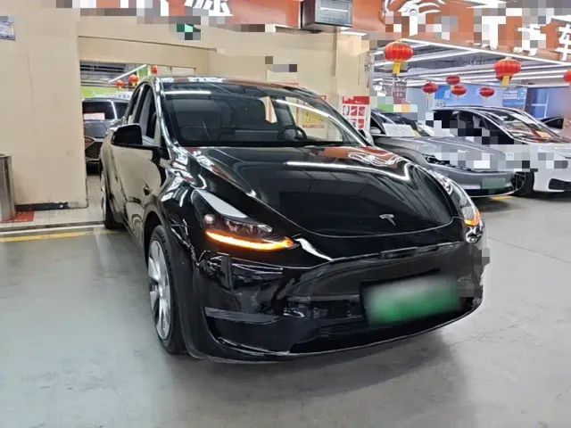 Tesla Model Y — Фото автомобиля 3