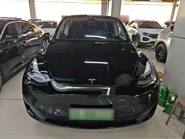 Tesla Model Y — Фото автомобиля 2