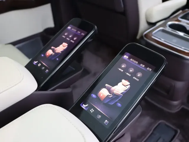 Hongqi Hongqi HQ9 2023 2.0T Smart Connect Flagship — Фото автомобиля 15