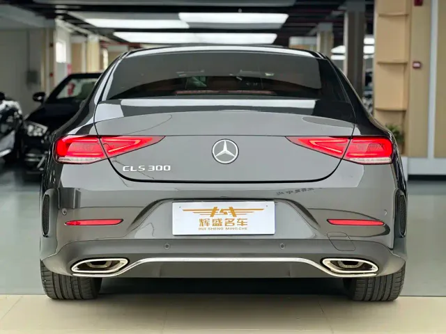 Mercedes-Benz CLS-Class — Фото автомобиля 4