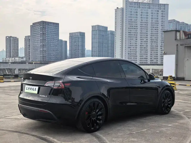 Tesla Model Y — Фото автомобиля 7